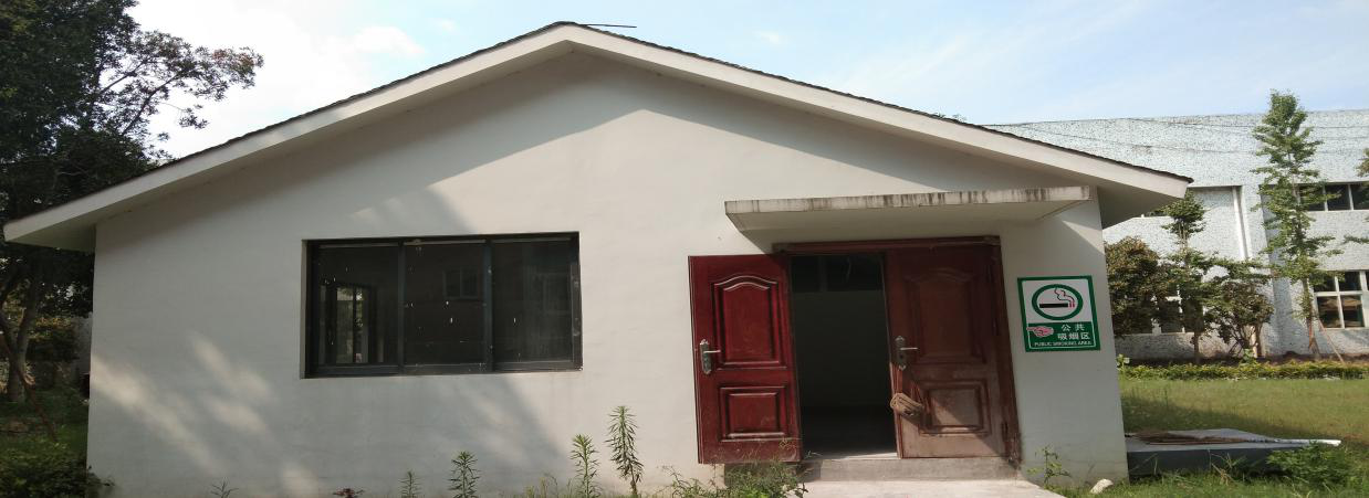 ����������ˢ��