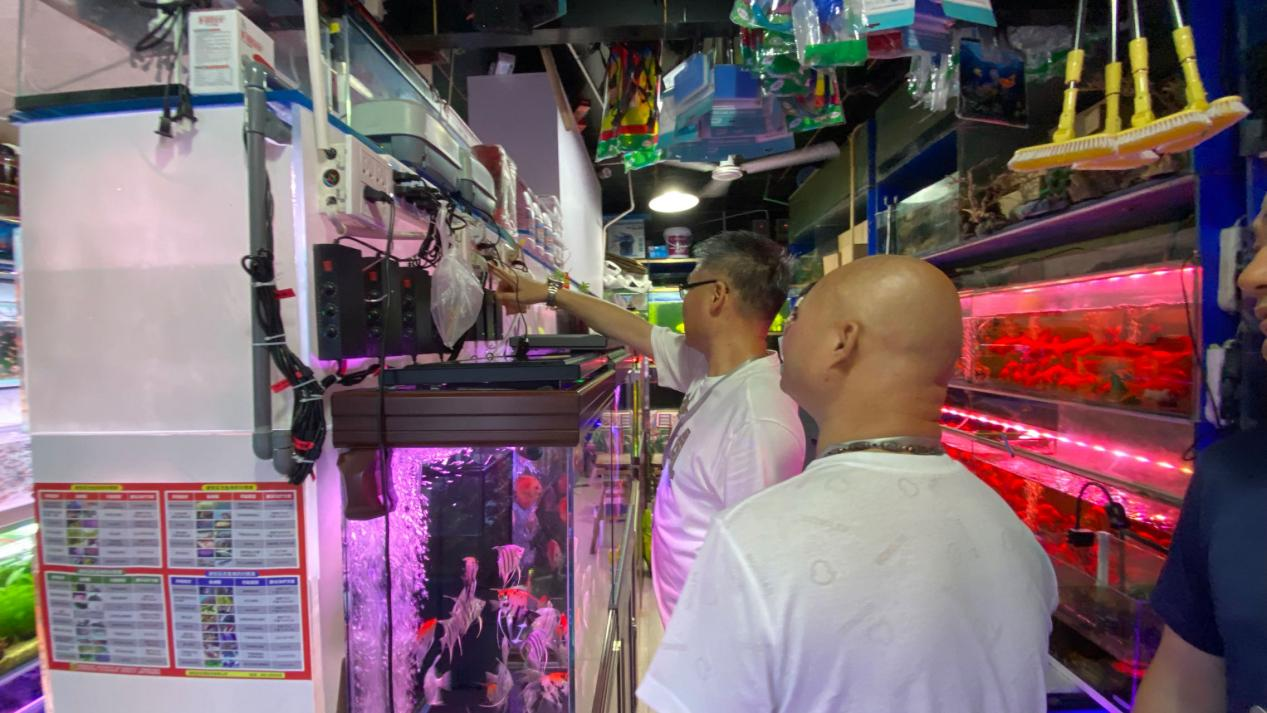 ���罫�����徲���У�Ǯ���̳ǽ�ǰ�徲����