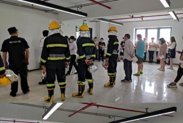 ǿ��������ʶ��������������