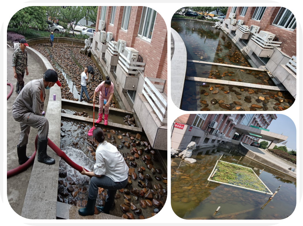 ��Ŀһ����԰�����۳�ӭ������ϴ֮�ա�