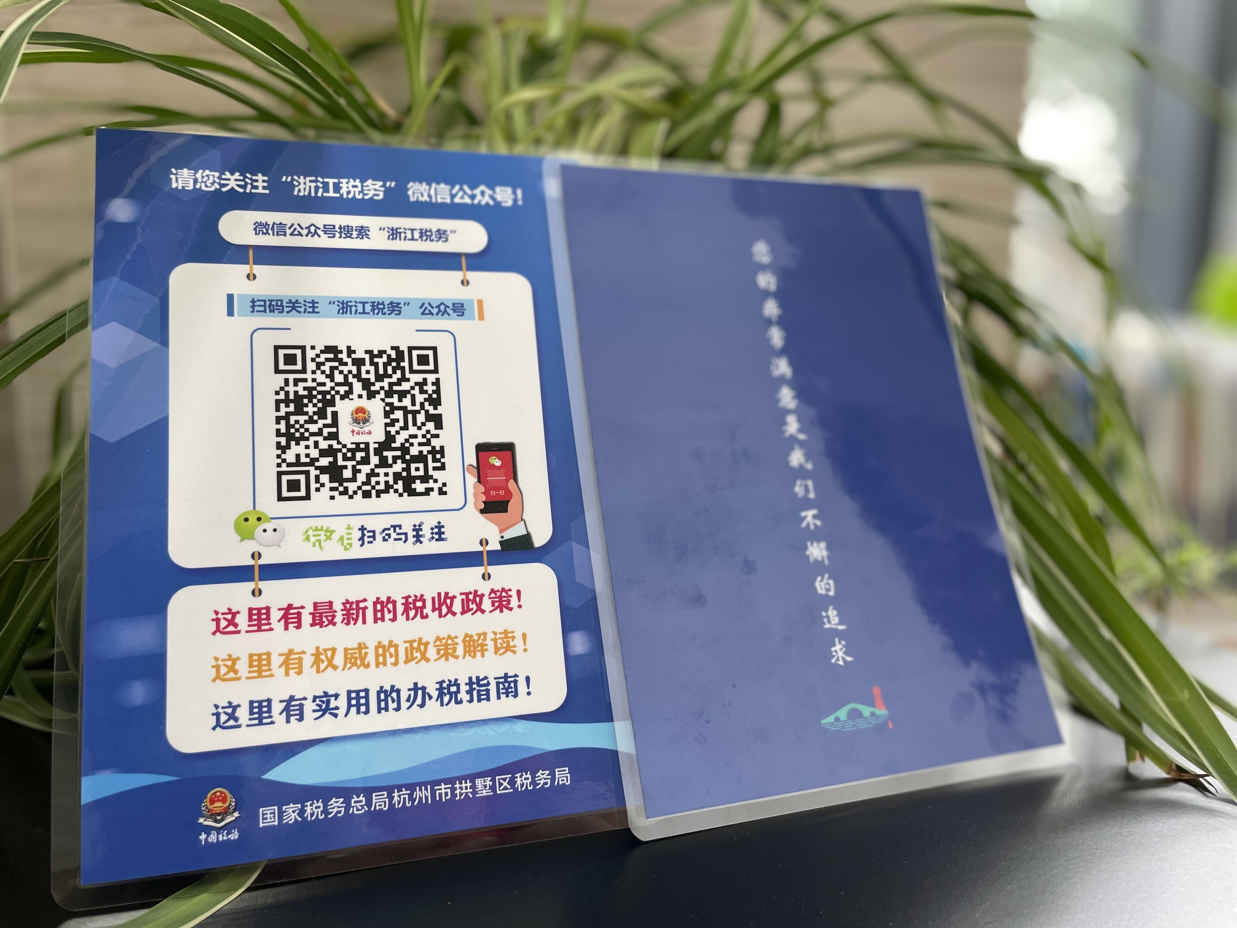 �ƹ㡰�㽭˰�� ���߽��ʵʱ����