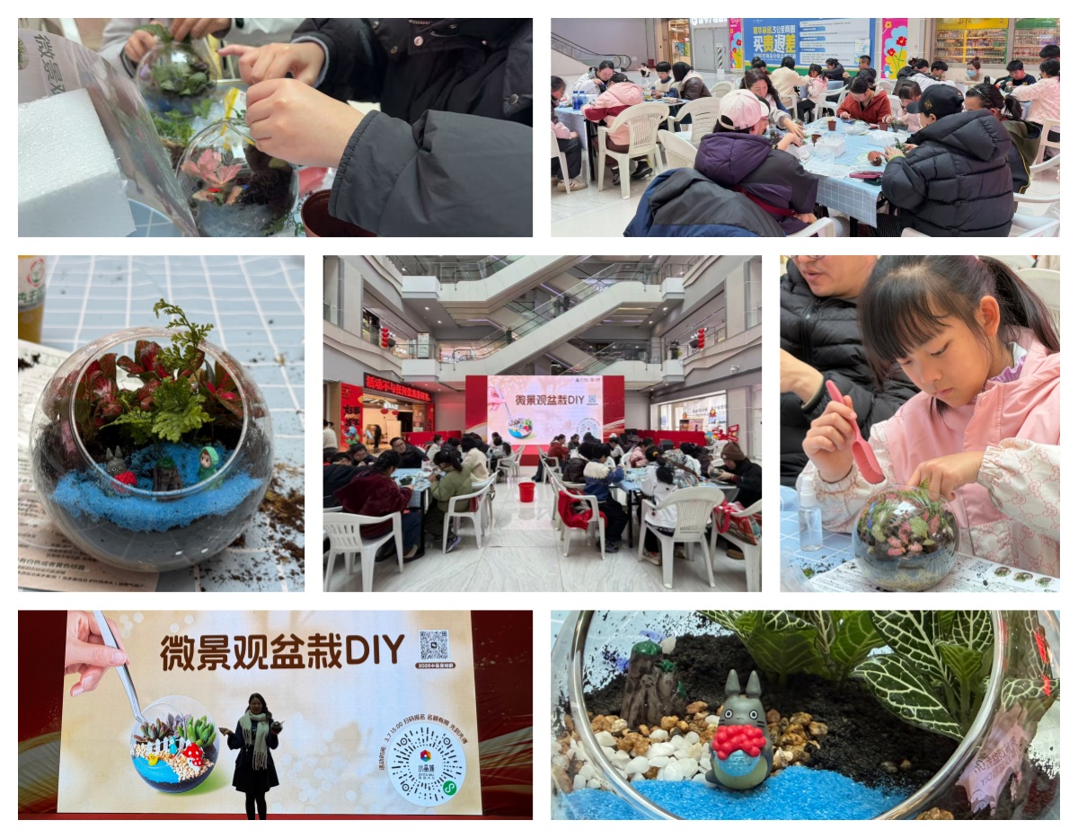 ������΢����ָ�������⡪��ˮ����΢�������� DIY �˶�Բ������